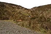 Water course near The Cones