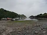 Watermouth Cove, viewed from beneath the castle