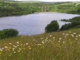 A lake surrounded by fields and trees,  with a railway viaduct in the distance