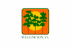 Flag of Wellington, Florida