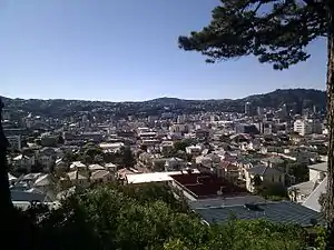 Mount Victoria roofs, Armour Avenue just left of centre. Te Aro in the background