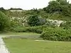 Wells Chalk Pit