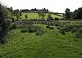 Meadows on the West Deane Way