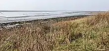 Photograph looking out across shallow water, with dry grass in the foreground