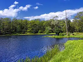 Stairway Lake, Delaware State Forest, Westfall Township, Pike County in the Buckhorn Natural Area.