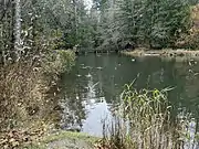 Derby Pond, where water is diverted to the fish hatchery