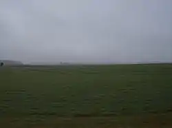 Winter wheat field in Wabash Township