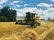 Large field of light brown grain with a combine harvester in the middle  and trees in the distance under a blue sky with some small clouds