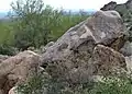 Petroglyph covered boulders