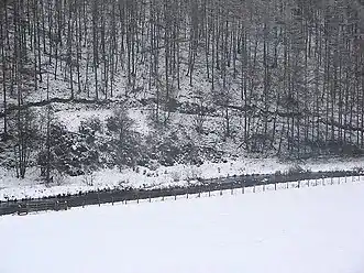 Whiteadder Water and Roughside Wood from the road into Greenburn (February 2007)