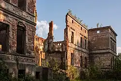 Ruins of the Wicimice Palace (2009)