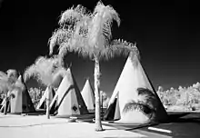 Wigwam Village No. 7