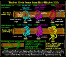 Comparison of 3 types of Half Hitches, and then Timber Hitches, including Killik conversion for errant angle of pull.