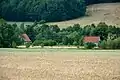 Houses from the distance