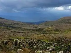 Wild camping on the Ocetá Páramo