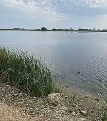 A body of water with reeds in the bottom left corner.