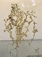 A glass sculpture (c. 1940) depicting Botrytis cinerea