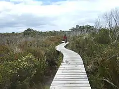 Hiking track to the southeast.