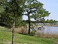 Fishing pier on Cypress Creek