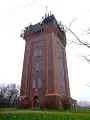 Waterloo Clump - Winshill Water Tower