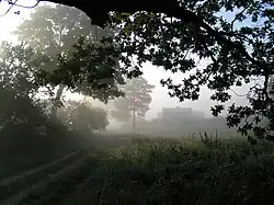 Orzechowka village, foggy morning on the outskirts of the Biebrza National Park