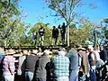 Wollombi Cattle Sales