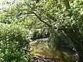 The Wom Brook along the lower part of the walk, in the Giggetty Estate