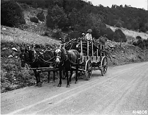 Wood hauler along the Rio Pueblo, 1941. An average rural family here would use about 20 loads like this per year for fuel wood