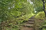 a path of wooden steps through woodland