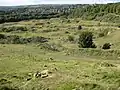 Woodside Quarry looking towards Horsforth