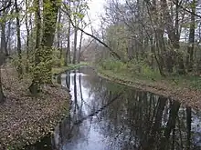 Wrześnica flowing through the park