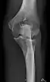 Left elbow by 30 degrees internal oblique projection