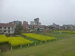 Xintan, one of the towns of Honghu City, seen from a Yangtze levee