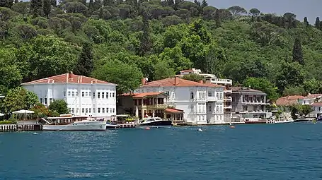 Stone pines were planted on the hills of the Bosphorus strait in Istanbul  for ornamental purposes during the Ottoman period.