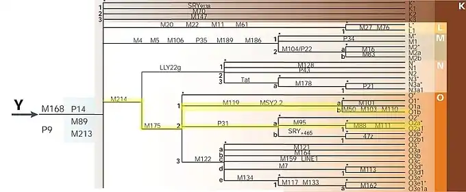 Mutasi Y-DNA O2a1a & O1a2