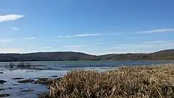 Landscape photo showing Yellow Creek Lake marsh area