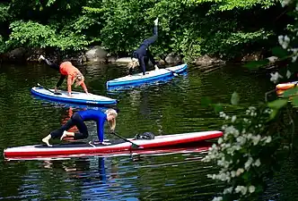 A Paddleboard Yoga class in Malmö, Sweden