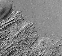 Image shows both young and old lava flows from the base of Olympus Mons.  The flat plain is the younger flow.  The older flow has channels with levees along their edges.  The presence of levees is quite common in many lava flows.