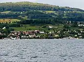 Paddle steamers Stadt Rapperswil (to the left) and Stadt Zürich on centennial tour, Pfannenstiel mountain in the background (June 12, 2009)