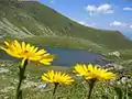 Upper Lindersee lake