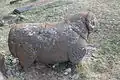 Stone sheep sculpture in Zolakar