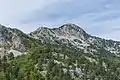 Peak and its surrounding evergreen forest