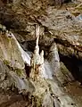 Stalagnate (column) in the cave of Remouchamps, Aywaille, Belgium