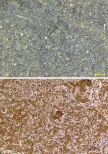 Image shows a magnified soil sample that changes colour from black to brown after 5 min exposure to air.