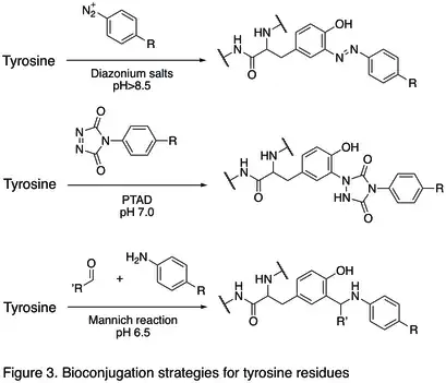 Figure 3. Bioconjugation strategies for tyrosine residues