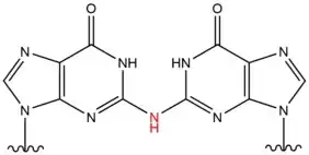 Chemical structure of DNA crosslink indiuced by Nitrous acid.