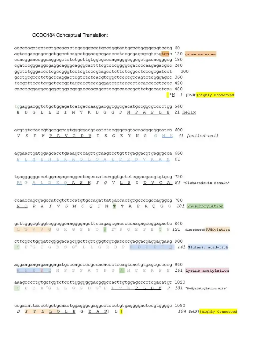 Annotated Conceptual translation for human CCDC184 protein.