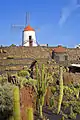 Jardín de Cactus