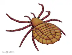 Maiocercus was a  arachnid from the UK about 310 million years ago.