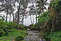 Stream on Efate island.